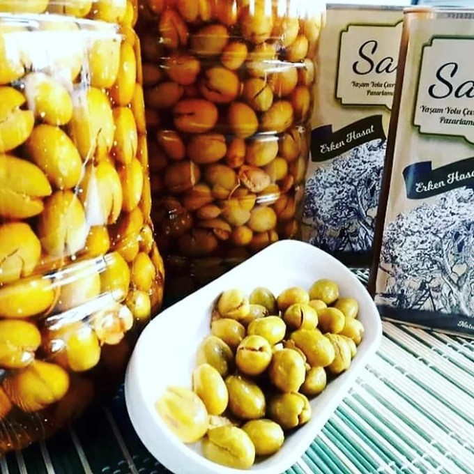 zeytin-ayvalık-1